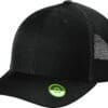 Black mesh back baseball cap with green logo.